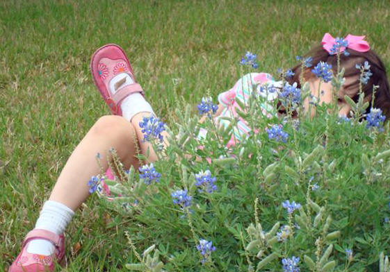 child and bluebonnets