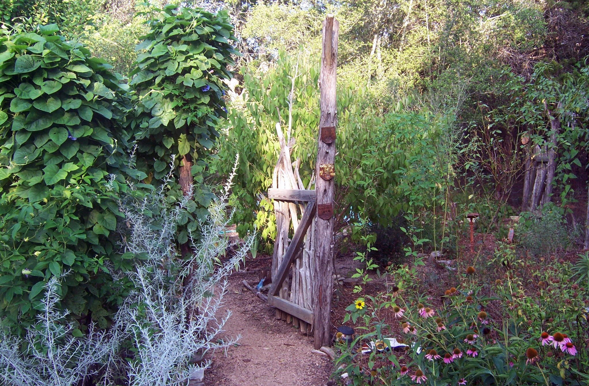 welcome to my garden-E Z Herbs